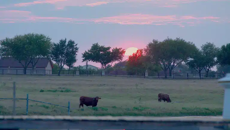 New Hope Ranch - Hero Image